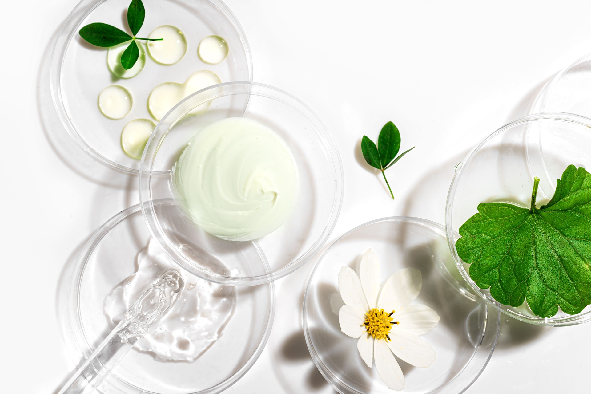 Beauty product sample with plants